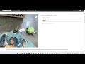 Clothing store website development