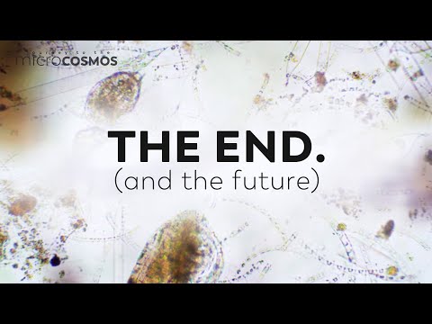 The Future Of Microscopy (and End Of Our Journey)