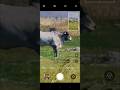 real me 12 Pro Plus zoom 120X 🔥😱😱🙏🙏