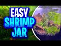 Easy Cherry Shrimp Jar Setup Tutorial - No Filter, No Heater, No CO2, No Ferts, No Water Change!