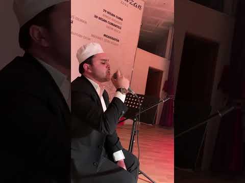 Hafız Alpcan Celik