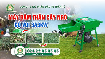 Máy Băm Cây Ngô, Cỏ voi Mini – Xay Cỏ Đa Năng Giá Rẻ Tại Xưởng Chế Tạo 3A