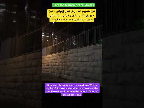      وائل كفوري و نواز الزغبي مين حبيبي انا    