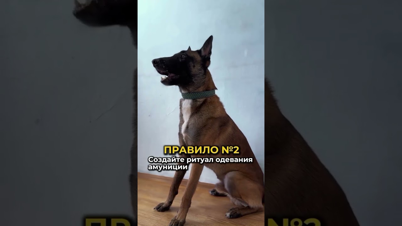 Сохраните этот пост, чтобы не забыть эти советы ❤️