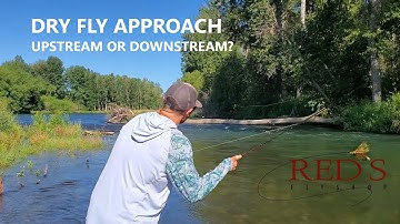 Are You Casting a Dry Fly Correctly? // Upstream vs. Downstream Casting Strategies