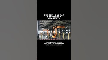 Palletizingrobot #robotic #robotics #automation