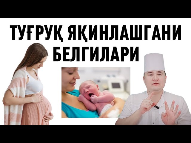 Tukli mushukning yaqin plandagi fotosuratlari