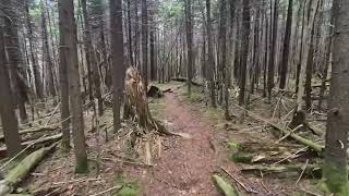 Day Three Devils Path Hike in the Catskills 6/17/2026