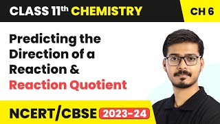 Predicting the Direction of a Reaction & Reaction Quotient - Equilibrium | Class 11 Chemistry Ch 6
