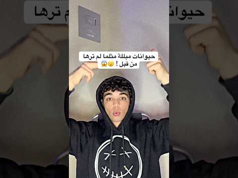 مش رح تصدق هذه حيوانات مبللة مثلما لم ترها من قبل