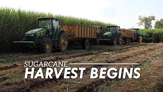 2018 Sugarcane Harvest Begins