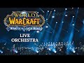 World Of Warcraft Rise Of The Lich King Live Symphonic Medley 