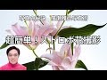 超簡単！ストロボ花撮影（その１）