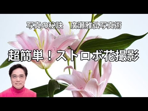 超簡単 ストロボ花撮影 その１ Youtube