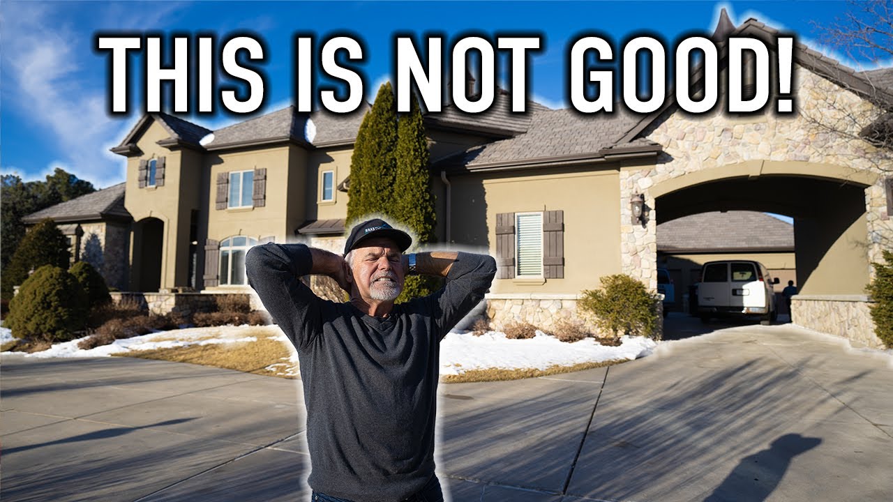 WILD WOODPECKER DESTROYS MANSION! (Angry Home Owners!)