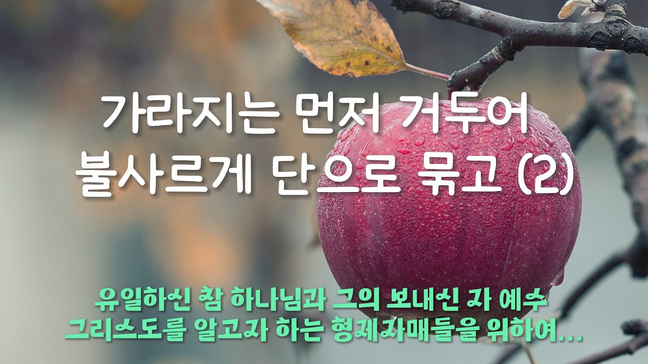 가라지는 먼저 거두어 불사르게 단으로 묶고 (2)