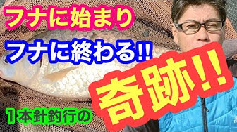 マブナ Youtube