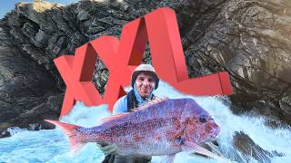 XXL Pink Snapper Off the Rocks – Wild South Coast Catch & Cook