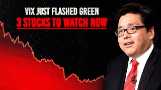 Volatility Just Collapsed - Tom Lee Says This Is The Market's Real Message (Top 3 Stocks' Inside)