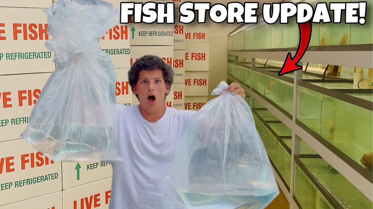 Shipping Out RARE FISH from Rob’s Aquatics! | Weekly Stock Update