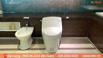 TDM.VN | Review bồn cầu 1 khối Caesar C1353-PW - Bàn cầu xả gạt thân lớn cao cấp chính hãng