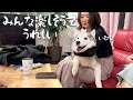 何もかもを意に介さない家族に囲まれて、姉の膝の上で笑顔溢れるシベリアンハスキー