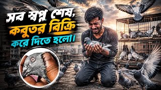 পাঁচ বছর টানা চার সাইট পাল্লা দেওয়া কবুতর বিক্রি করা হবে 