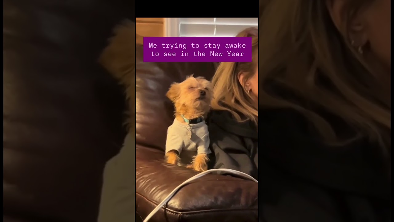 New Year’s Eve Training