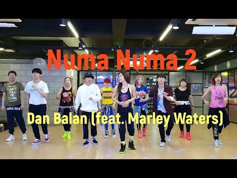 I LOVE ZUMBA / 스트릿 댄서들의 첫 줌바영상 / Numa Numa 2 - Dan Balan (feat. Marley Waters)