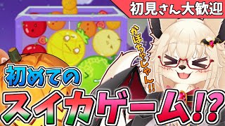 【スイカゲーム】初のスイカゲームやる… ってかぼちゃやんけ！！【Vtuber】
