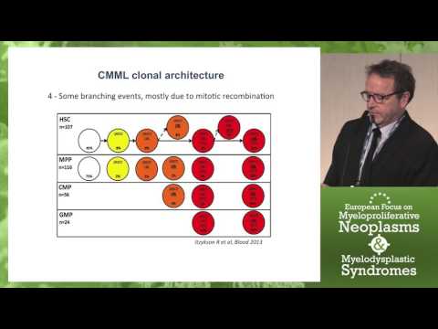 Genetic Basis of Chronic Myelomonocytic Leukemia (CMML)