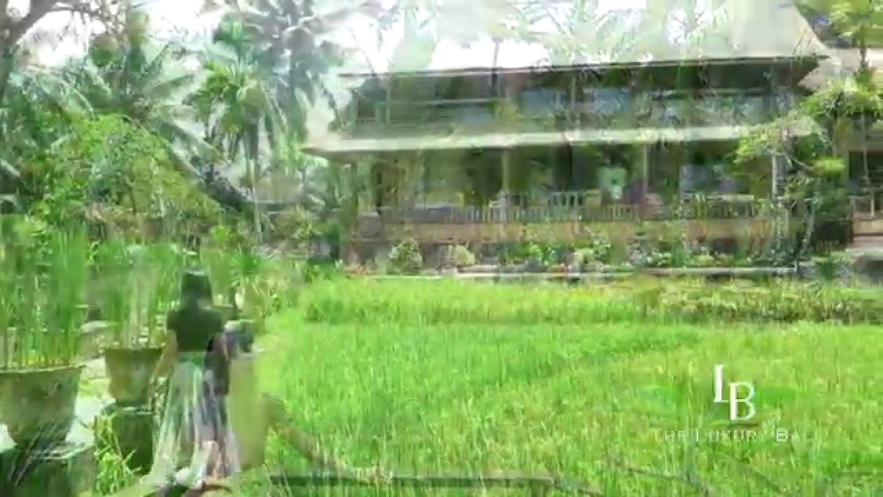 The Luxury Bali Experience - Wapa di Ume
