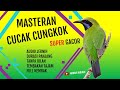 Masteran Cucak Cungkok Gacor Full Durasi Audio Jernih I Tanpa Jeda & Iklan Spesial Buat Kicaumania