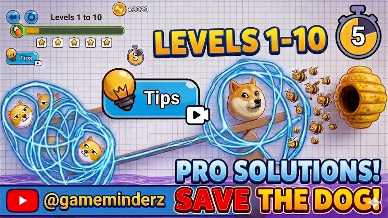 Save the Dog 🐶 level 1,2,3,4,5,6,7,8,9 and 10 - YouTube