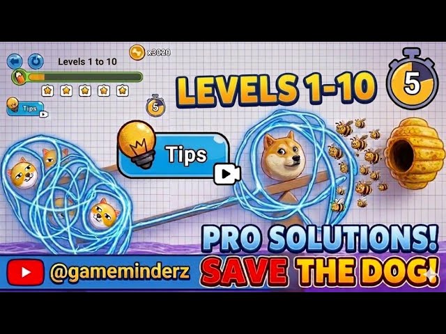 Save the Dog 🐶 level 1,2,3,4,5,6,7,8,9 and 10 - YouTube