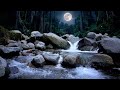River Sounds for Sleeping | Natural White Noise for Deep Sleep and Stress Relief Tonight