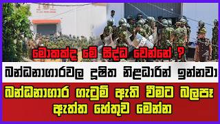 මොකක්ද මේ සිද්ධ වෙන්නේ බන්ධනාගාරවල දූෂිත නිළධාරින් ඉන්නවා බන්ධනාගාර ගැටුම් ඇති වීමට බලපෑ ඇත්ත හේතුව