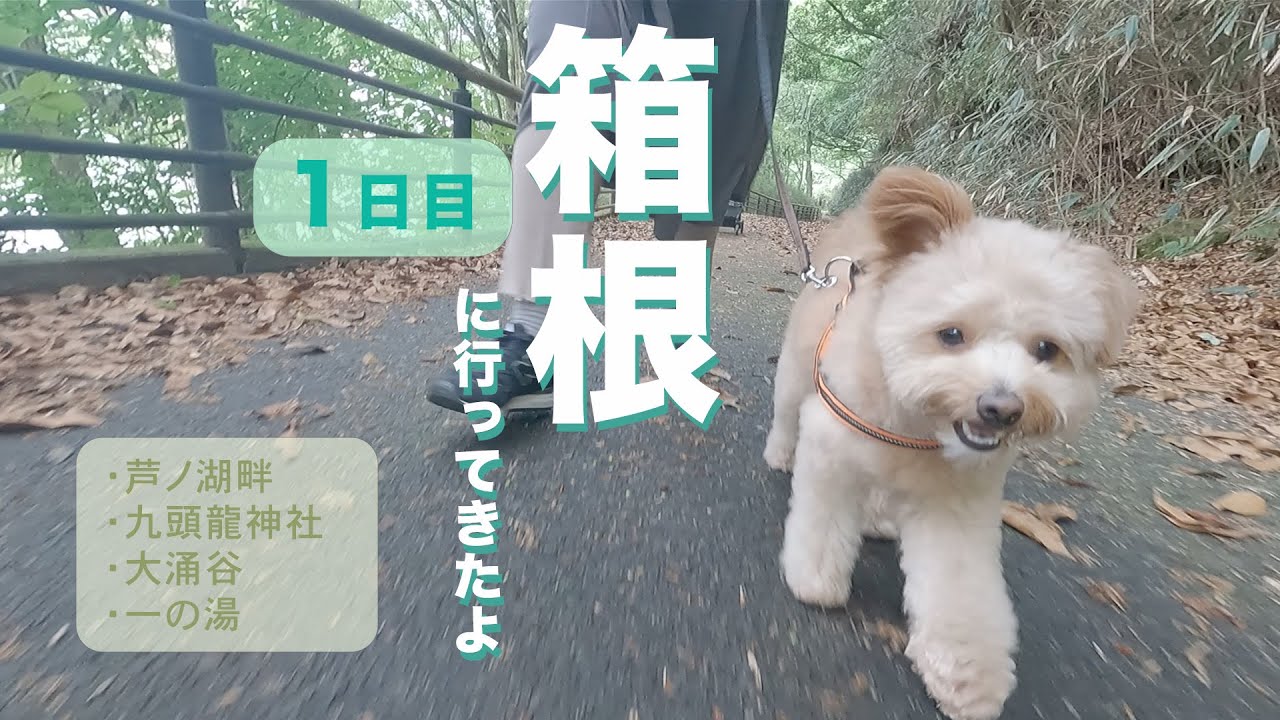 犬と箱根に行ってきたよ🐶1日目