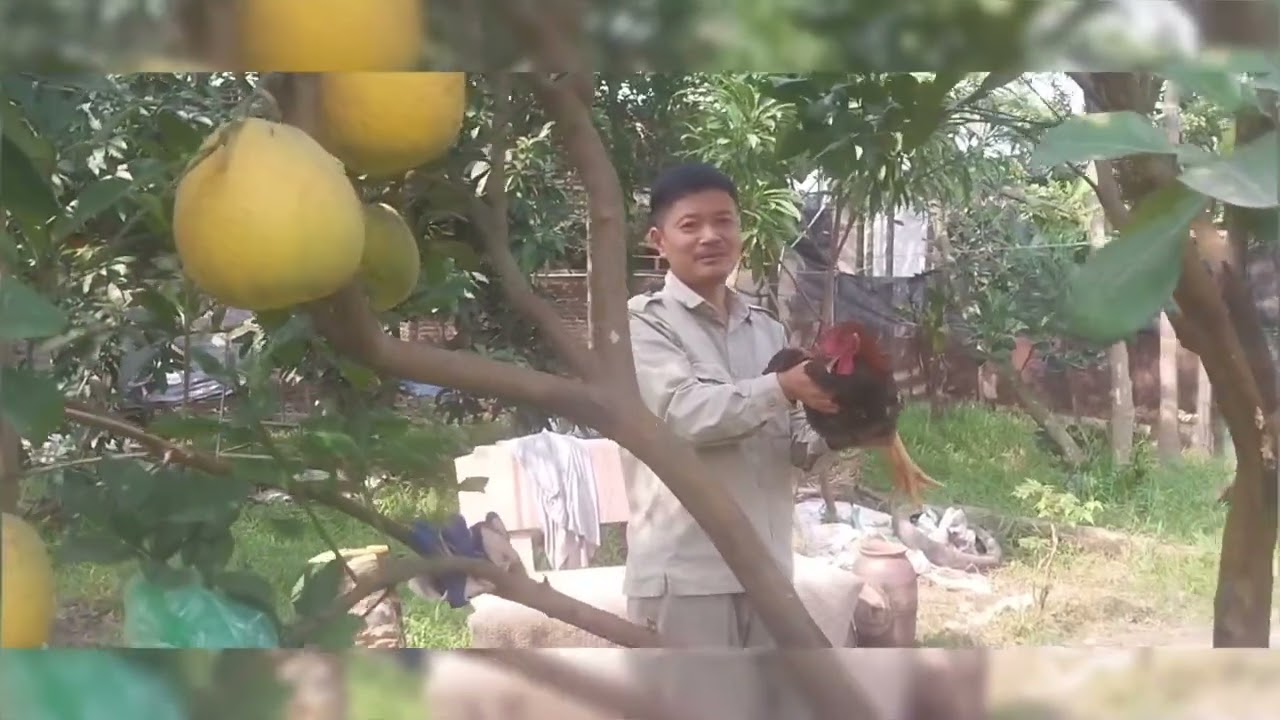 Trang trại Mạnh Giang 2025