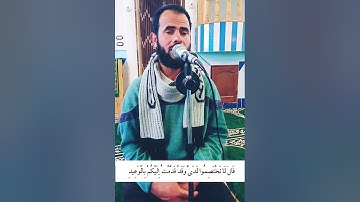 تلاوة لم أجد لها وصف رائعة جدا وهادئةجدا تنسيك هم الدنيا