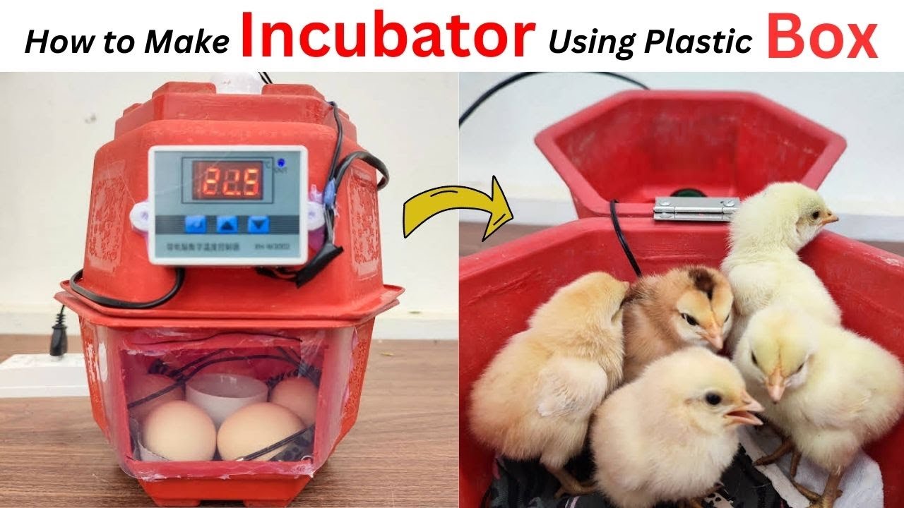 How to Make Incubator at Home from Plastic Box // Egg Incubator // Faizan Creation