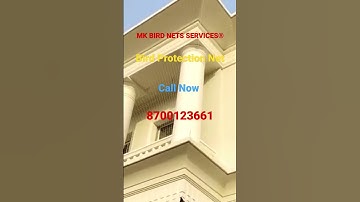 What arethe Benefits of Having a Residential Bird Netting Service?|Bird Control Nets Service near me