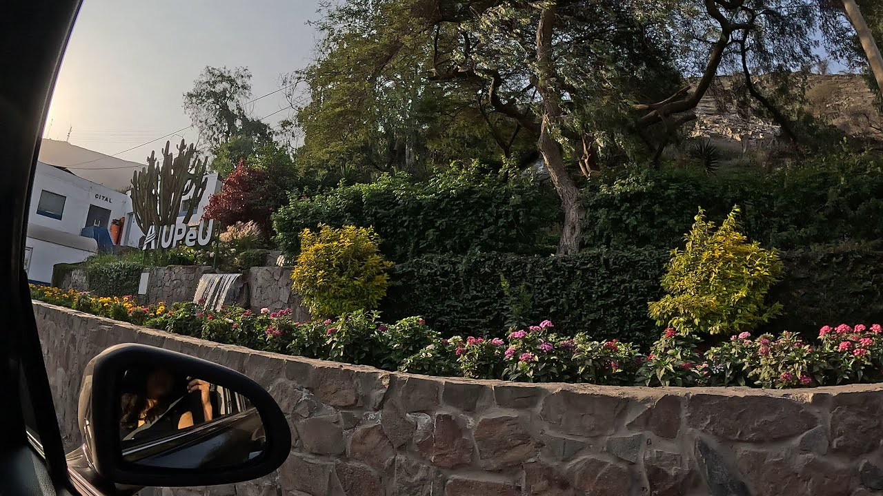 Peruvian Union University