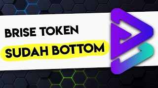 Bitgert SUDAH BOTTOM 😱 HARGA BRISE TOKEN HARI INI