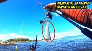 PAGI BEGINI IKAN PADA LAPAR PAKAI UMPAN BELANAK HIDUP