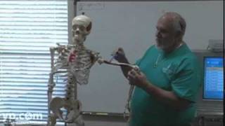 Alpha Institute of the Treasure Coast Inc