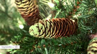 Live Carolina Pine 9 ft. Garland - Product Review Video Camera Feed
