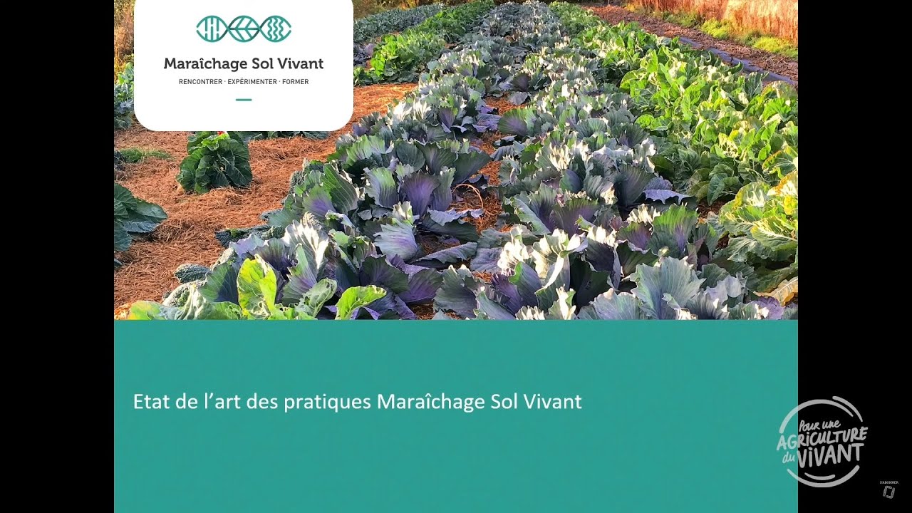 Verger maraicher en sol vivant, Edouard Stalin