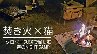 【猫とキャンプ】焚き火を楽しむナイトキャンプ