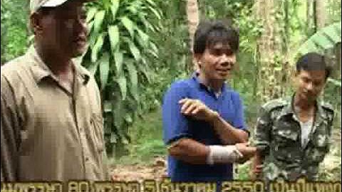 สวัสดิการ...เพื่อคุณ ตอนที่24 กองทุนส่งเสริมการจัดสวัสดิการสังคม